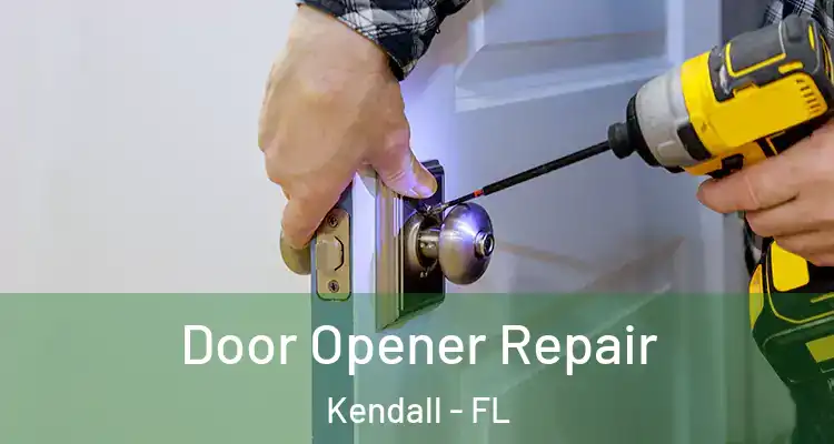  Door Opener Repair Kendall - FL