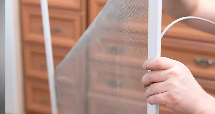 Privacy Mesh Screen Door Installation in Kendall, FL